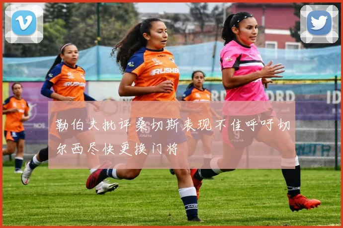 勒伯夫批评桑切斯表现不佳呼吁切尔西尽快更换门将